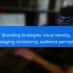 Branding Strategies: visual identity, messaging consistency, audience perception