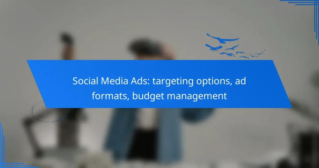 Social Media Ads: targeting options, ad formats, budget management