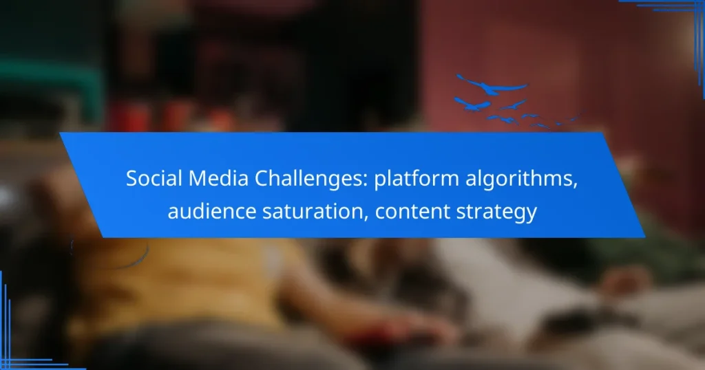 Social Media Challenges: platform algorithms, audience saturation, content strategy
