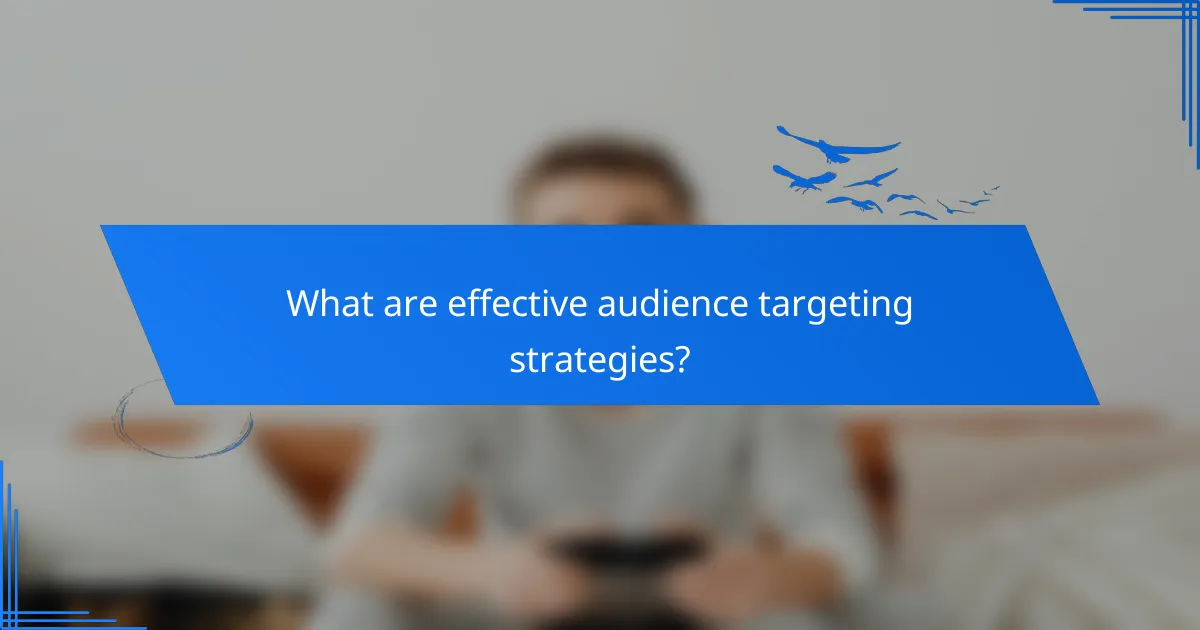 What are effective audience targeting strategies?
