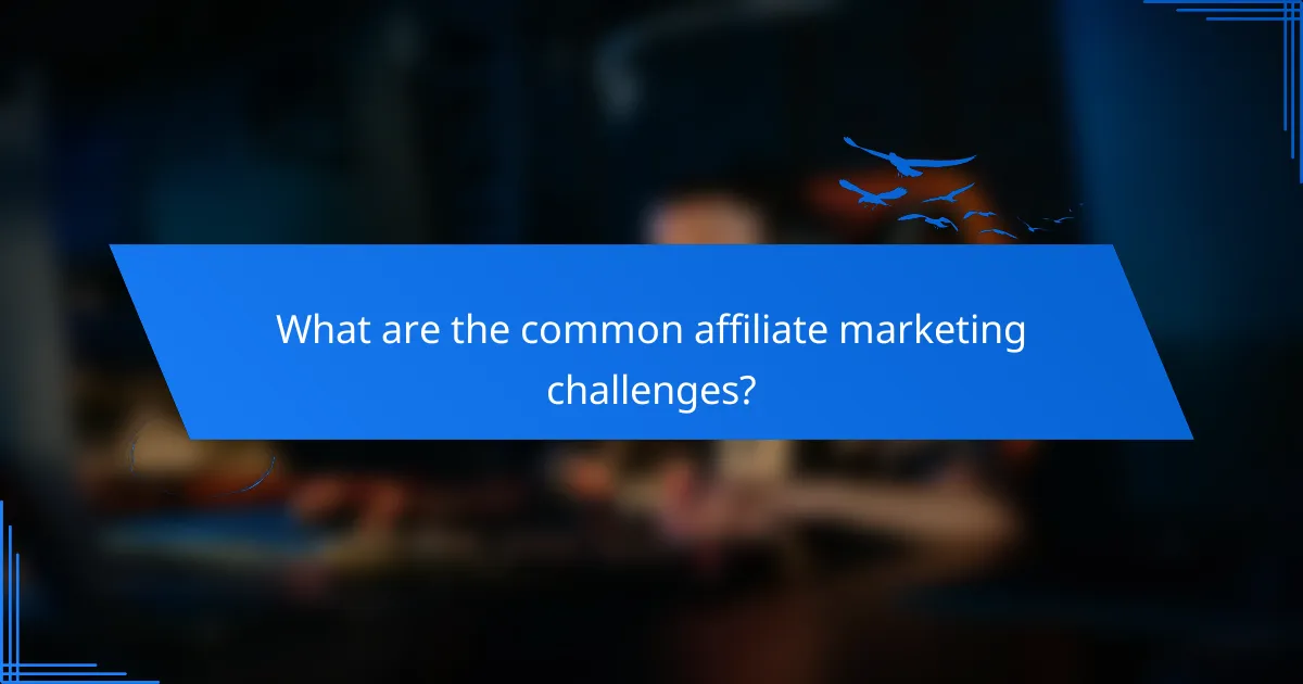 What are the common affiliate marketing challenges?