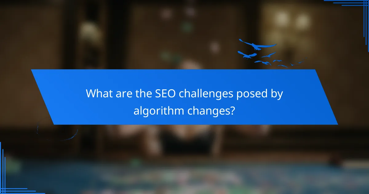 What are the SEO challenges posed by algorithm changes?